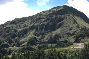 巍峨青山 绿意盎然