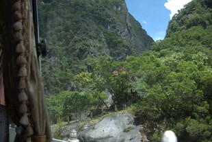 山间溪流旁的自然景致