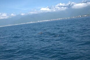 广阔蔚蓝大海与远处海岸