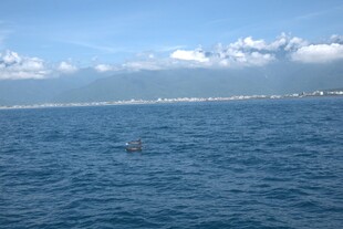 海上远景 海面现模糊身影