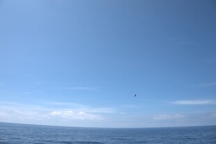 广阔海面与晴朗蓝天