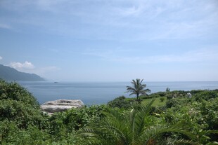 海边绿植环绕的美丽景致