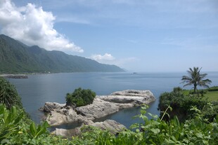 海边美景 绿植环绕的岩石