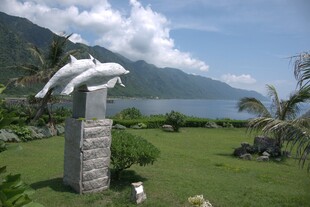 户外海豚雕塑景观