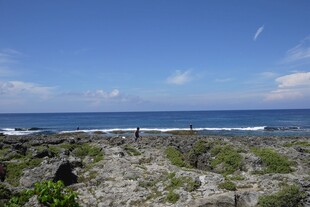 海边荒野风景