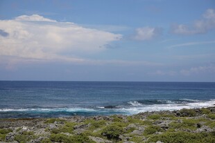 海边风光 蔚蓝大海与绿地