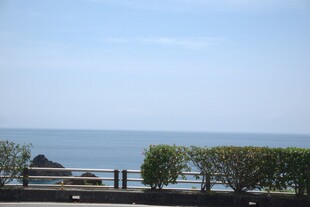 海边景致 绿植与栏杆相伴