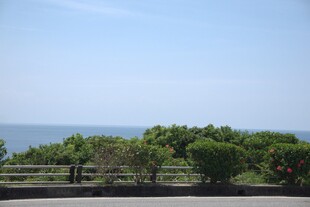 海边绿植景观