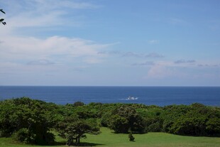海边绿意盎然的美丽景致