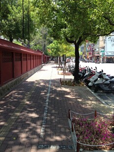 林荫小道旁的静谧街巷