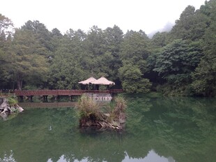 湖中小亭伴葱郁山林