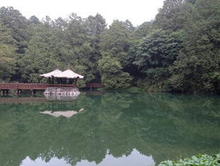 湖畔凉亭 静谧山林水景