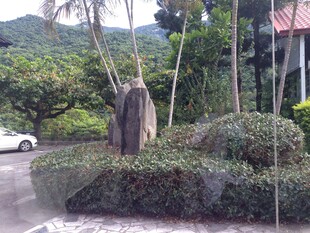 园林景观中的绿植与石雕