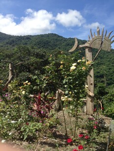 山间花园景致