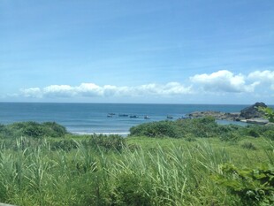 海边绿野风光