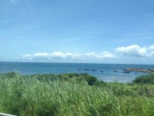 海边葱郁草地与辽阔海景