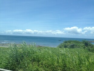 海边绿野风光