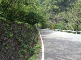 山间蜿蜒公路 绿意盎然