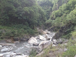山间溪流与葱郁植被景观