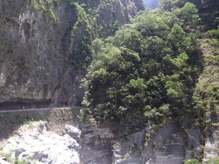 山间绿意盎然的峡谷景观