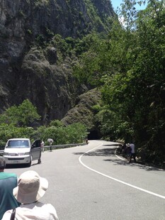 山间公路上行驶的车辆