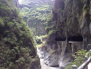峡谷间的瀑布与葱郁植被