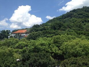 青山绿树间的古建筑