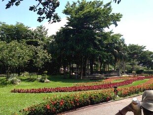 美丽花园景观一角