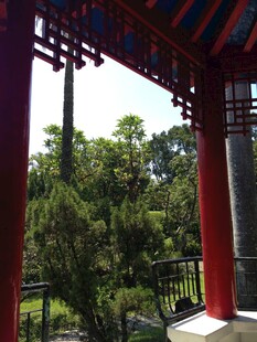 中式亭阁外的葱郁景致