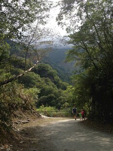 山间小道 自然美景初现