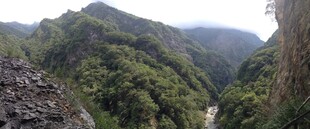 山间翠谷美景