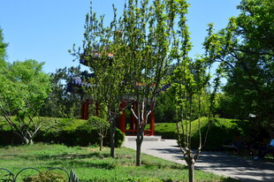 公园风景  