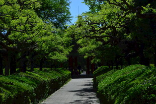 公园风景  