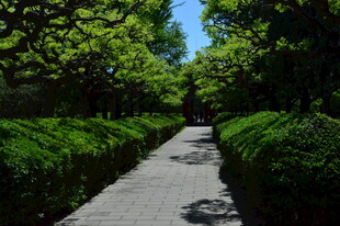 公园风景  