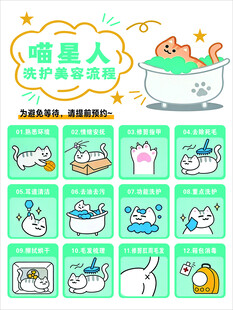 宠物洗护美容流程 