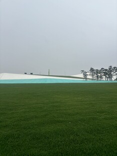 广袤绿草地与远处树木