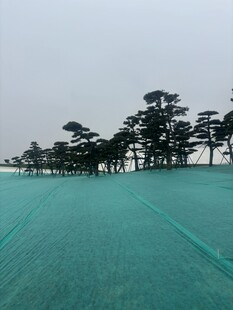 绿色防护网覆盖的开阔场地