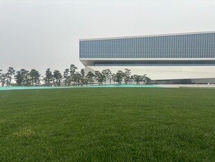 广阔绿地旁的现代建筑