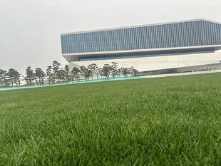 现代建筑旁的绿茵草地