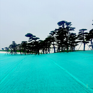 蓝绿交织的自然景观