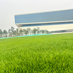 绿茵前的现代建筑风光