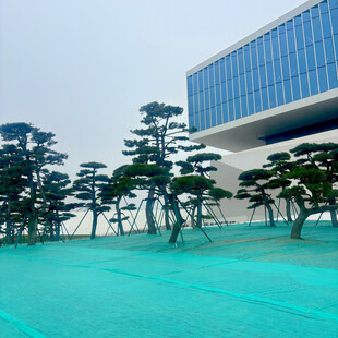 现代建筑旁的清幽景观池