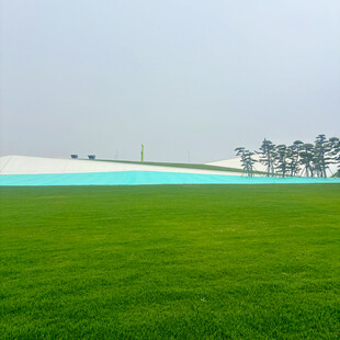 绿色田野与远处建筑景观