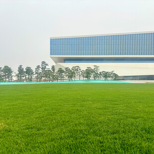 现代建筑旁的翠绿草地