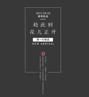 赵死则花儿正开书籍封面