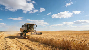 麦田里的联合收割机作业