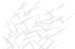 简约白色竹叶图案背景