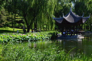 公园风景 