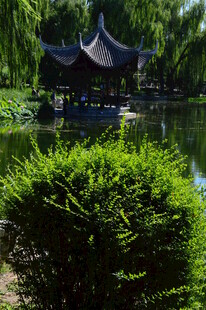 公园风景  