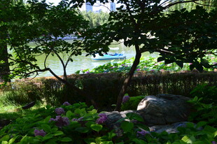 公园风景  
